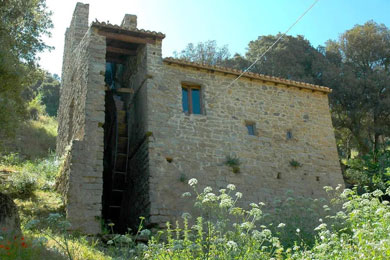 Vista panoramica di Olzai